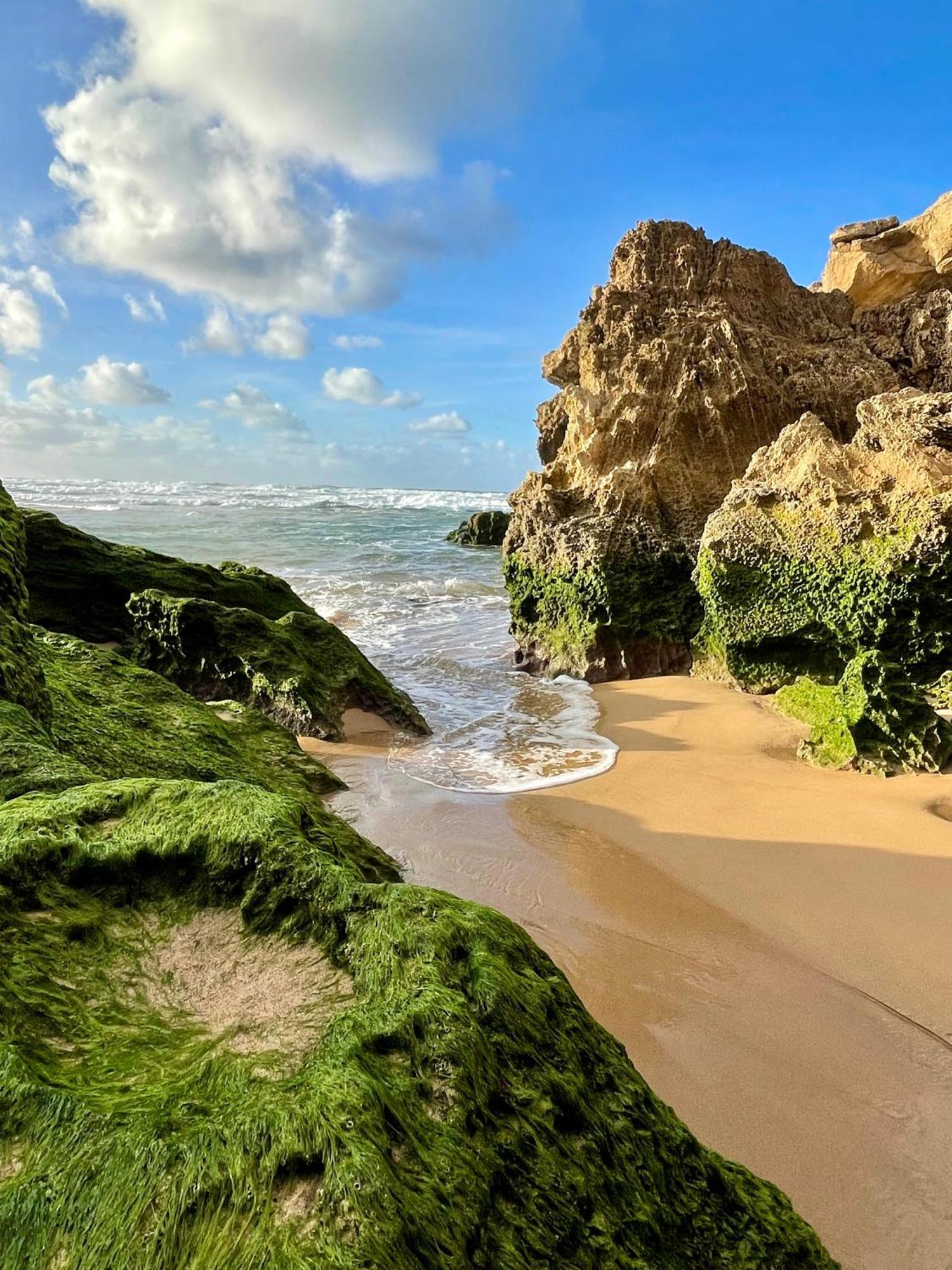 California Dream Inn Aljezur Eksteriør bilde