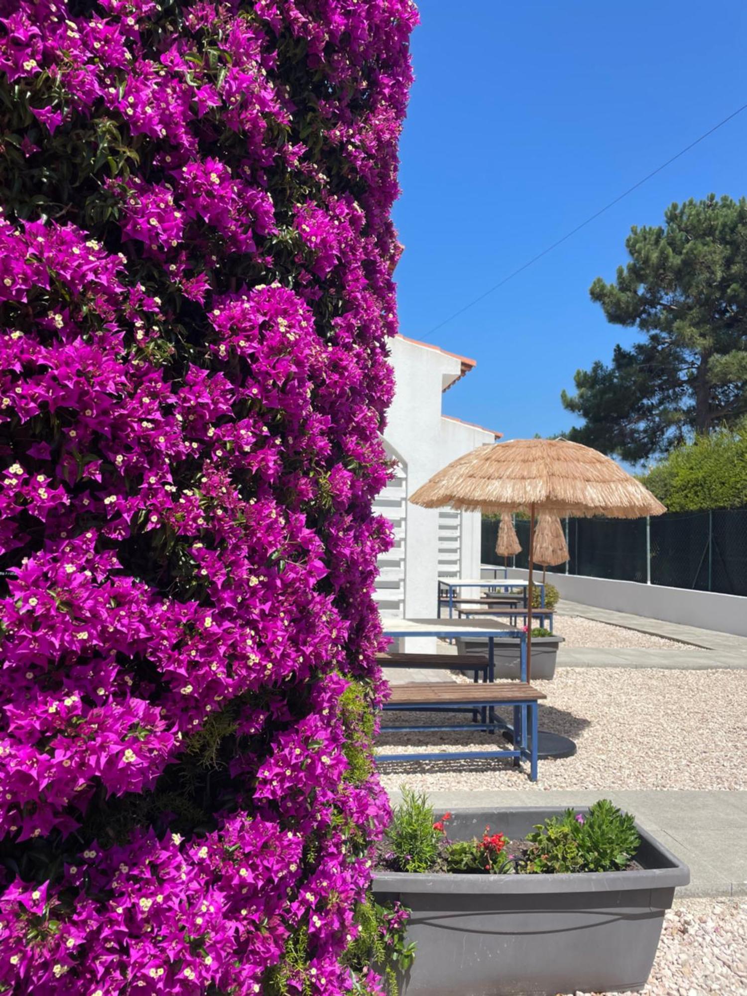 California Dream Inn Aljezur Eksteriør bilde